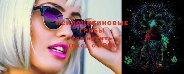 стаф Бородино