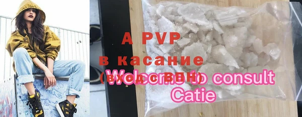 стаф Бородино