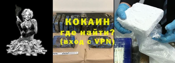 стаф Бородино