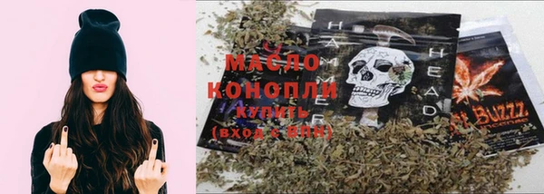 стаф Бородино