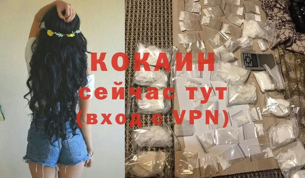 стаф Бородино