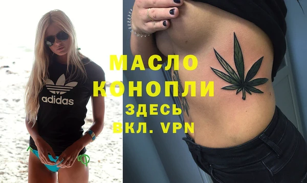 стаф Бородино