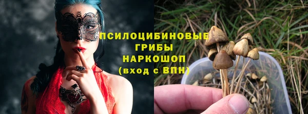 стаф Бородино