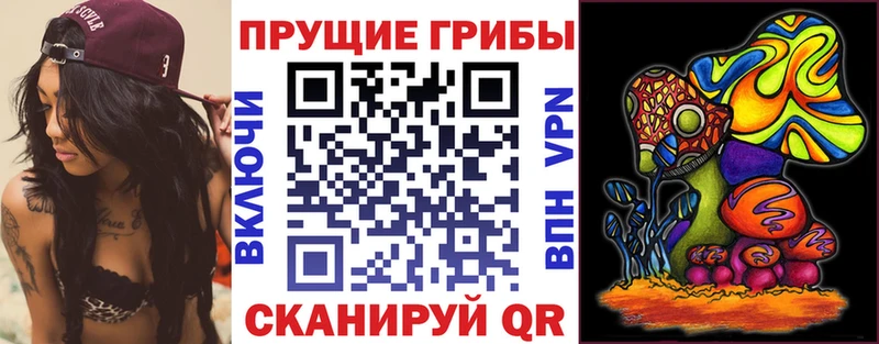 Псилоцибиновые грибы Cubensis  ссылка на мегу сайт  Каспийск 